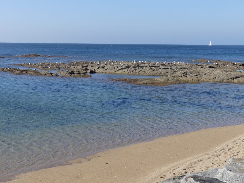 Plage à la Turballe