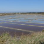 Marais salants de Guérande