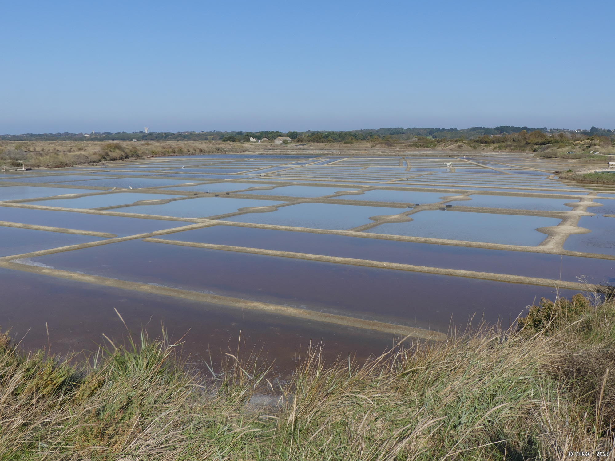 Marais salants de Guérande