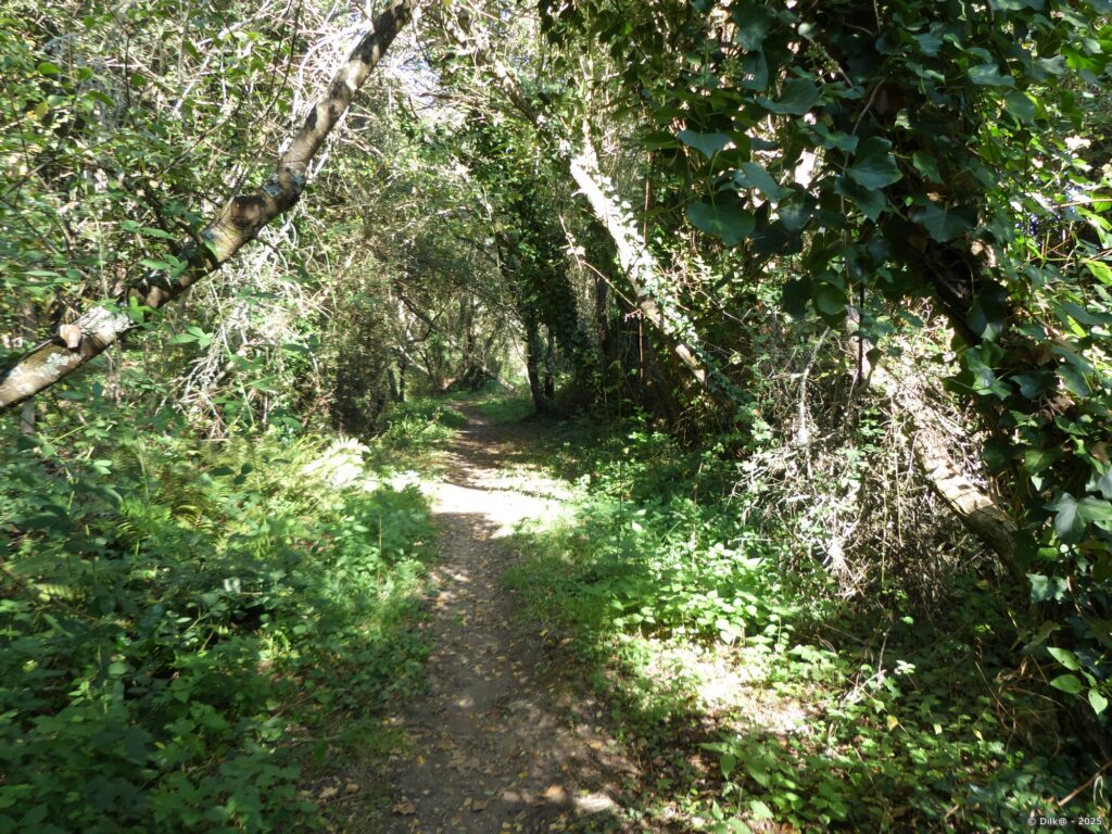 Le chemin en sous-bois près de Clis