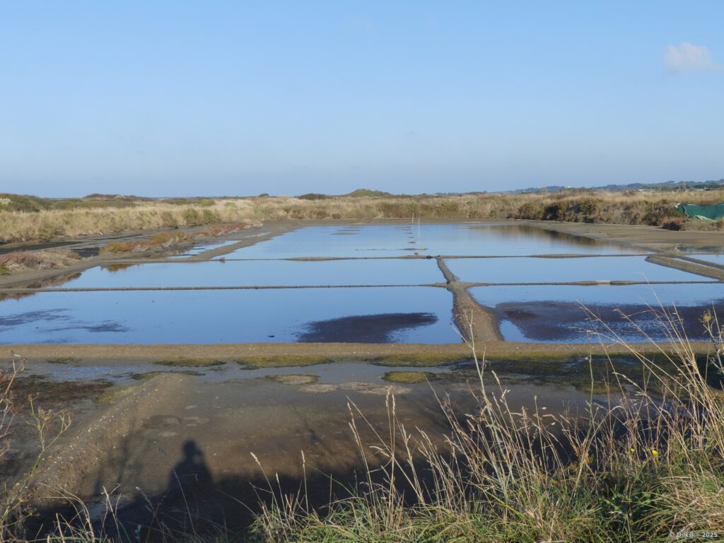 Les marais salants de Guérande