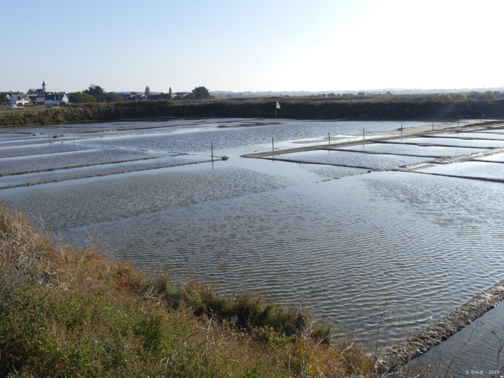 Les marais salants sous le soleil rasant d'automne