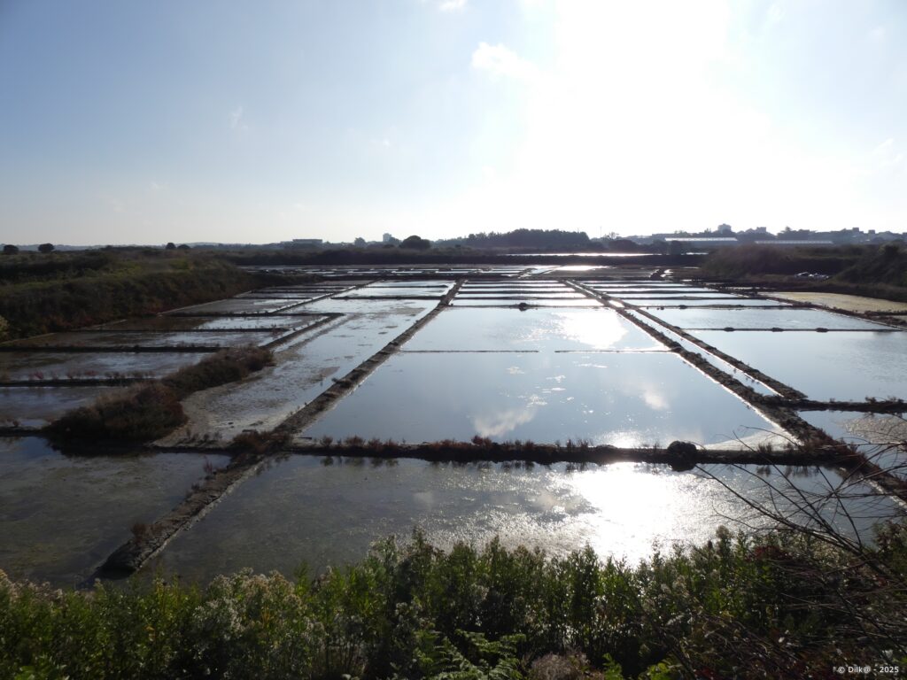 Reflets du soleil dans les marais salants