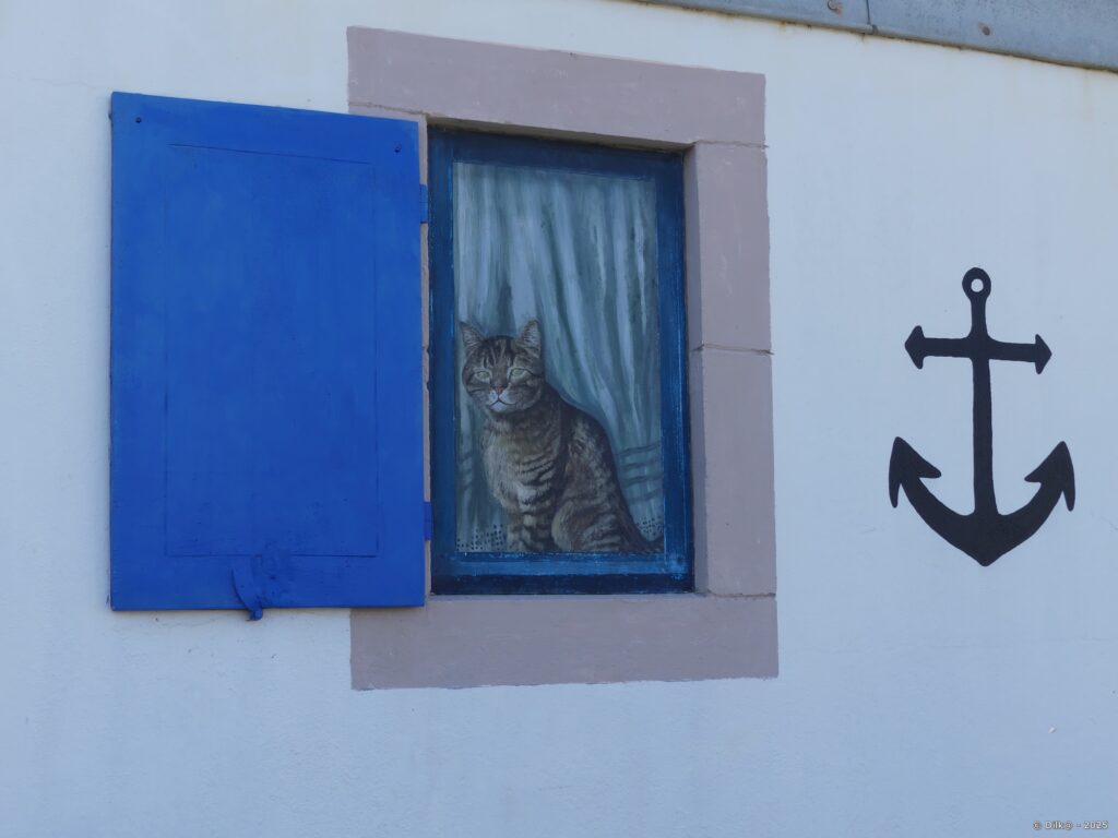 Le chat observe les promeneurs