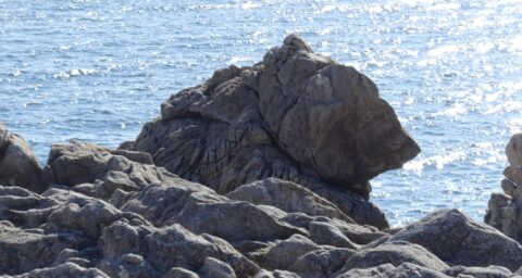Rocher de l'Ours sur la côte sauvage du Croisic