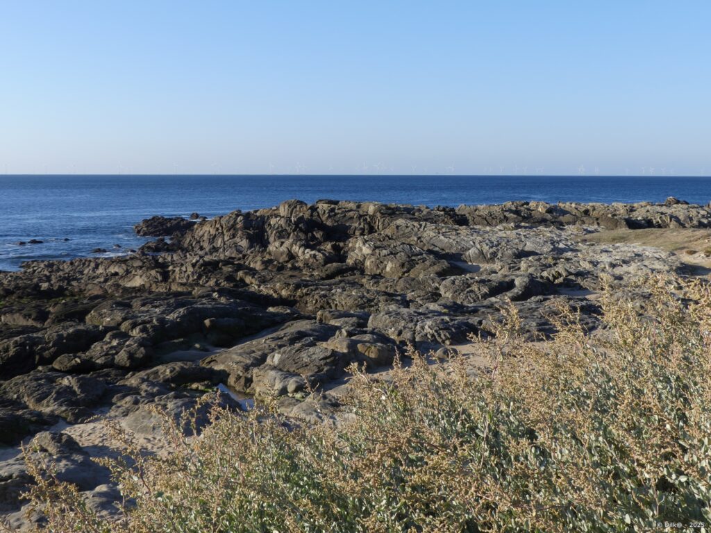 La pointe de Casse-Caillou