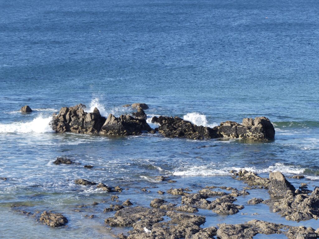 Rochers sur la côte sauvage