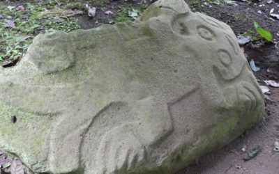 Pétroglyphes (Monumento Nacional Guyabo)
