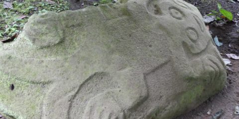 Pétroglyphes (Monumento Nacional Guyabo)