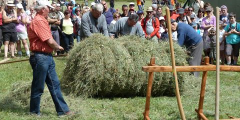 Fauche de foin et de fabrication de ballot de foin appelé "trousse"