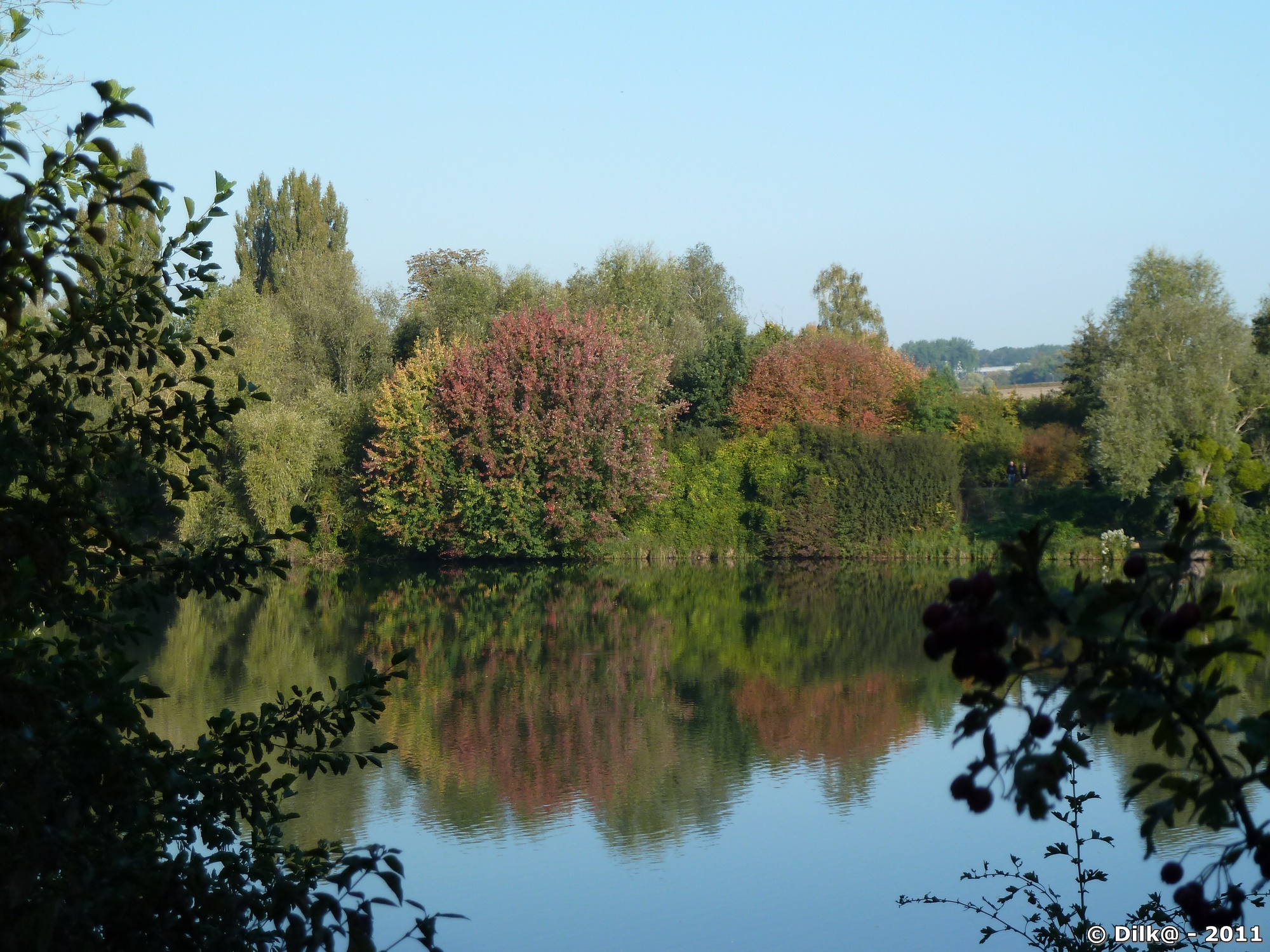 Reflets de couleurs de l'automne sur l'étang