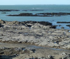 La côte de Piriac-sur-Mer