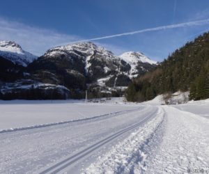 La forêt du Suffet et le Villard au fond