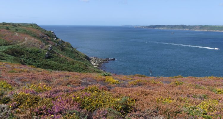 Vue vers la rade de Brest et le phare du Petit Minou