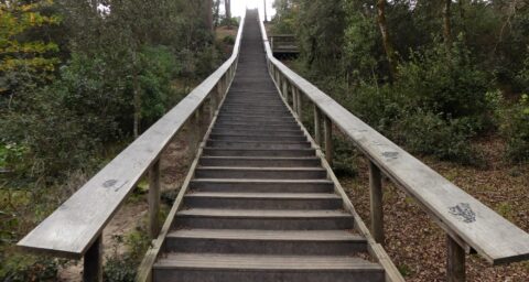 Le Pey de la Blet ou l'escalier dans le ciel