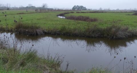 Le marais Breton Vendéen et l'église de Notre Dame de Monts au fond