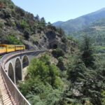 Le Petit Train Jaune