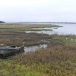 Les marais de Séné