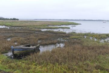 Les marais de Séné