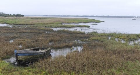 Les marais de Séné