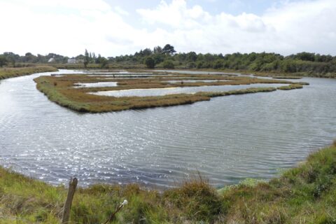 Les marais du Hézo
