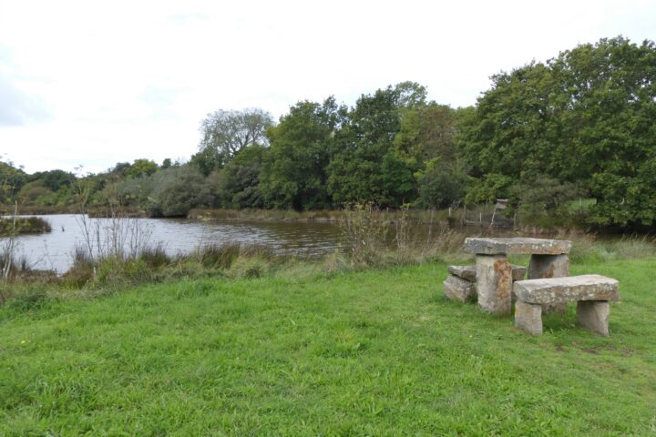 Table en pierre à Pont Févis