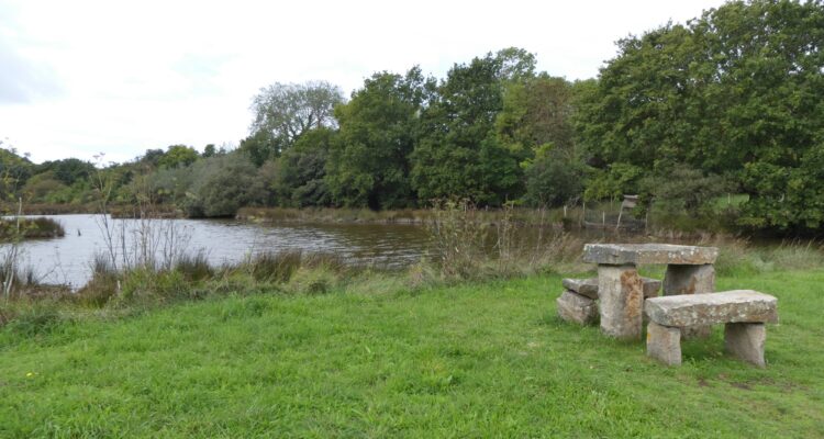 Table en pierre à Pont Févis