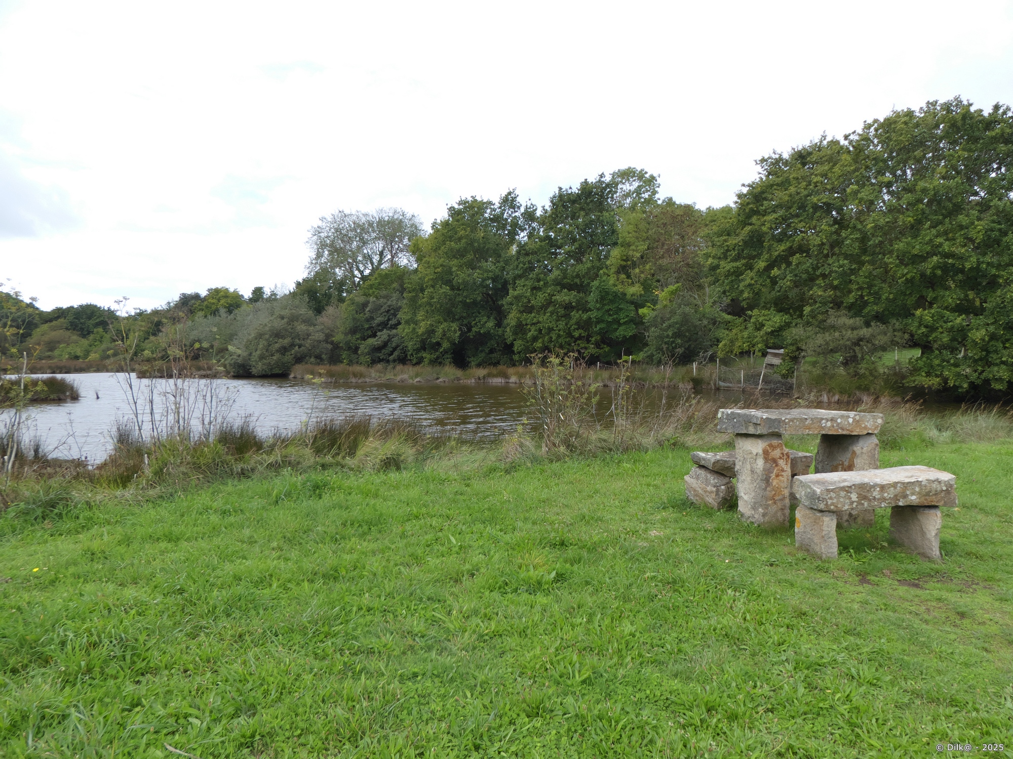 Table en pierre à Pont Févis