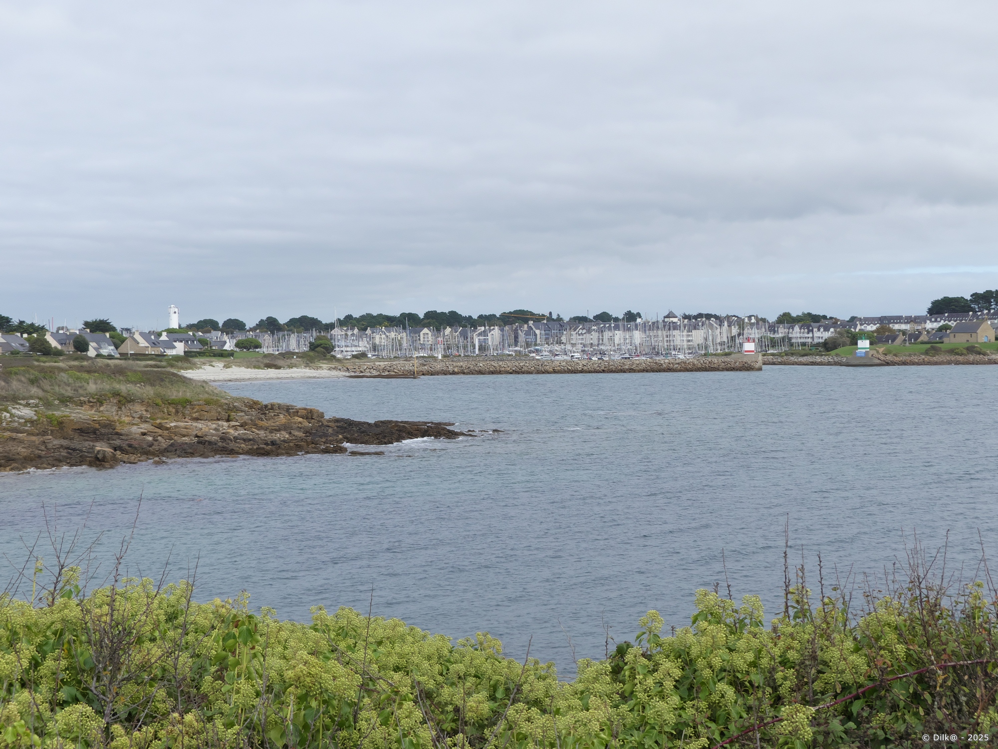 Le port du Crouesty à Arzon