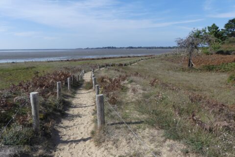 Les dunes et la forêt de Pont Mahé