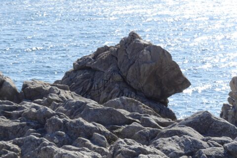 Rocher de l'Ours sur la côte sauvage du Croisic
